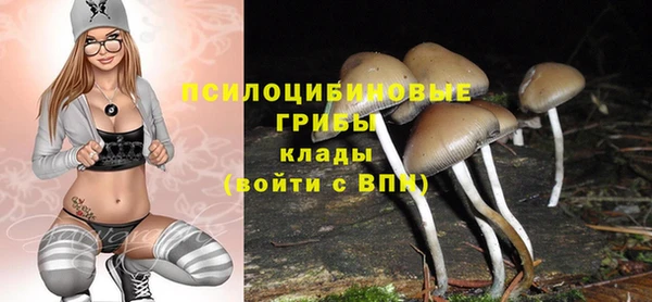 круглые Алексеевка